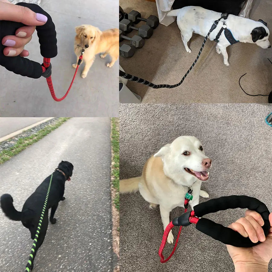 Heavy Duty Reflective Leash