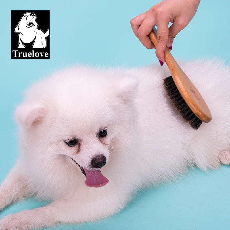 Bristles Pet Hairbrush