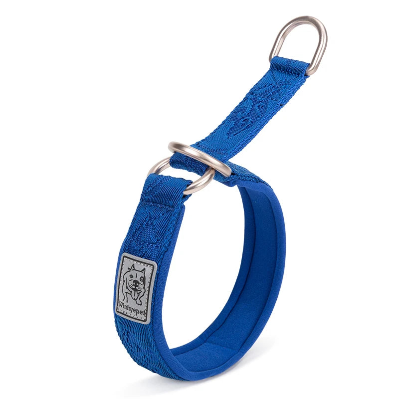 Padded Nylon Pet Training Collar