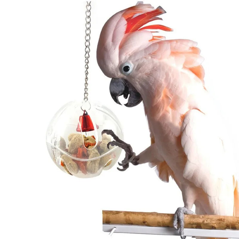 Colorful Hanging Bird Chewing Toy