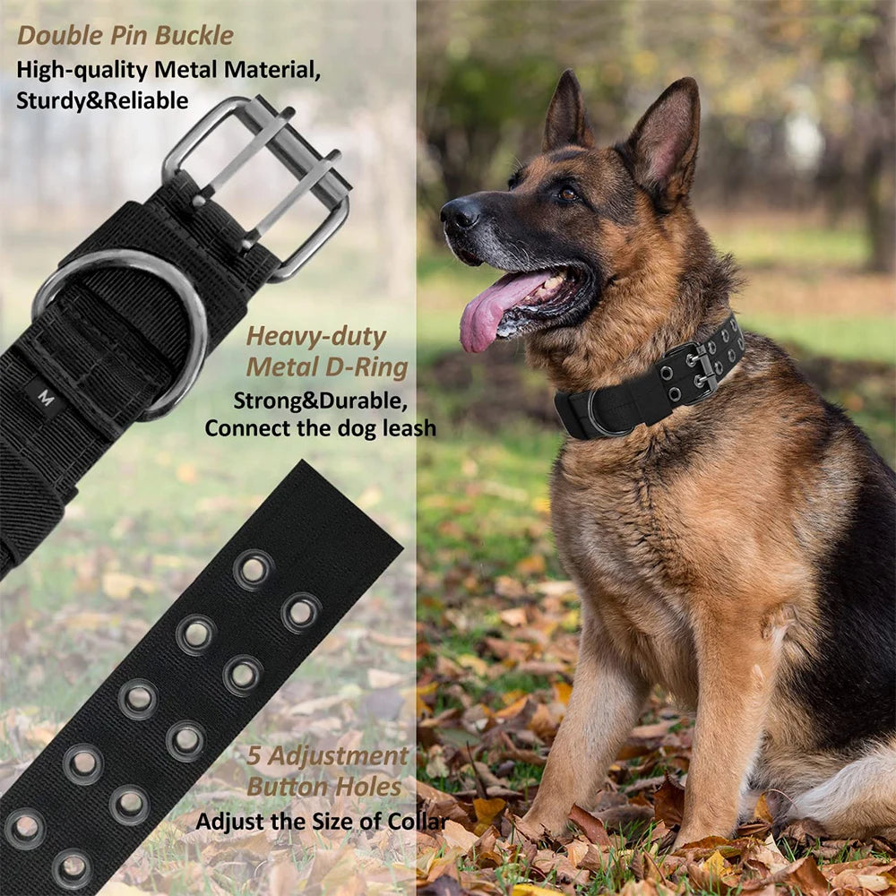 Durable Nylon Dog Collars