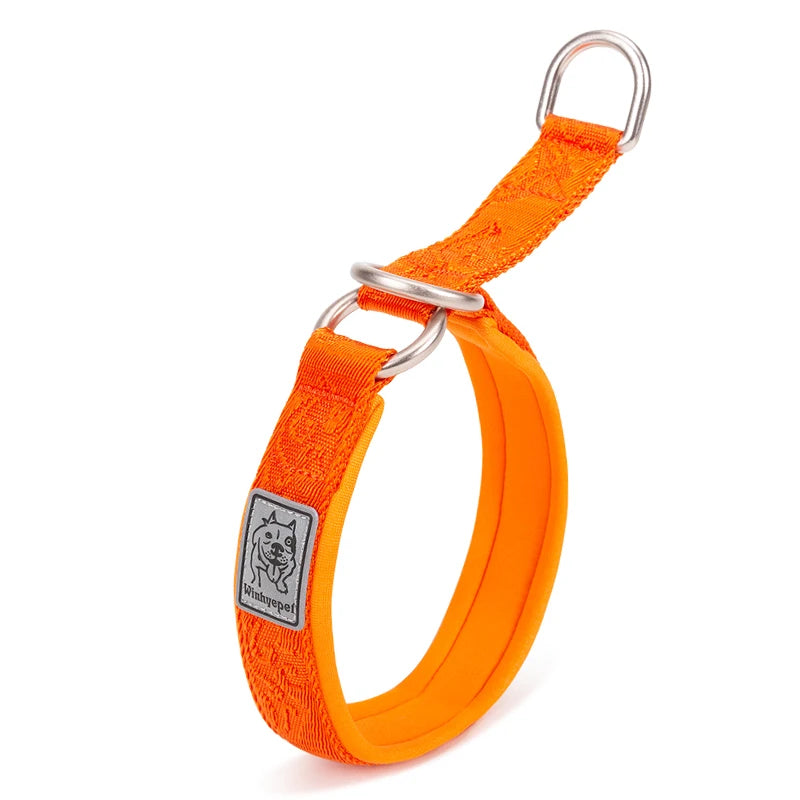 Padded Nylon Pet Training Collar