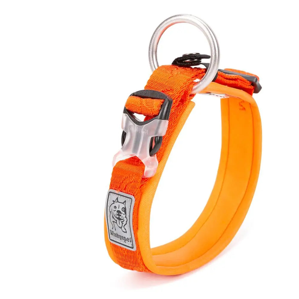 Adjustable Padded Pull-Resistant Dog Collar