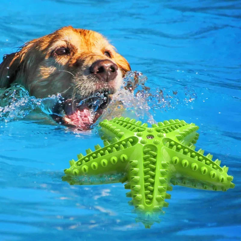 Starfish Teeth Cleaning Dog Toy