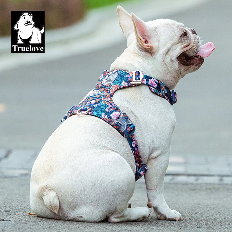 New Fashion Design Dog Harness