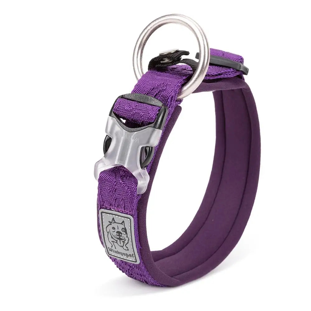 Adjustable Padded Pull-Resistant Dog Collar