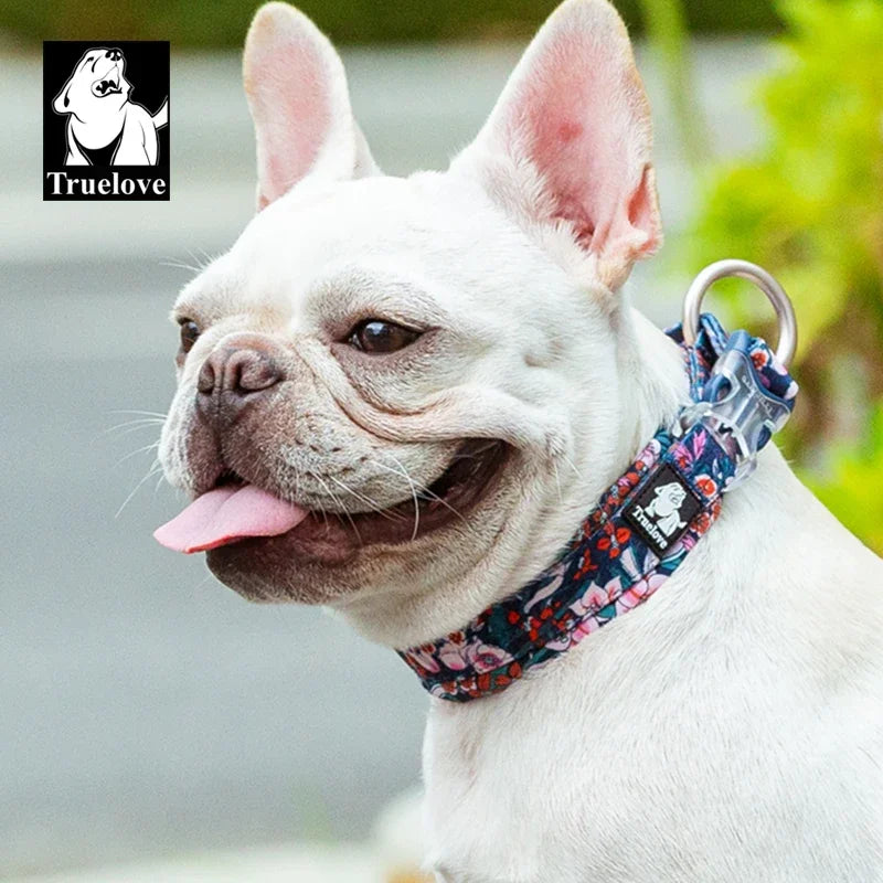 Floral Padded Pet Collar