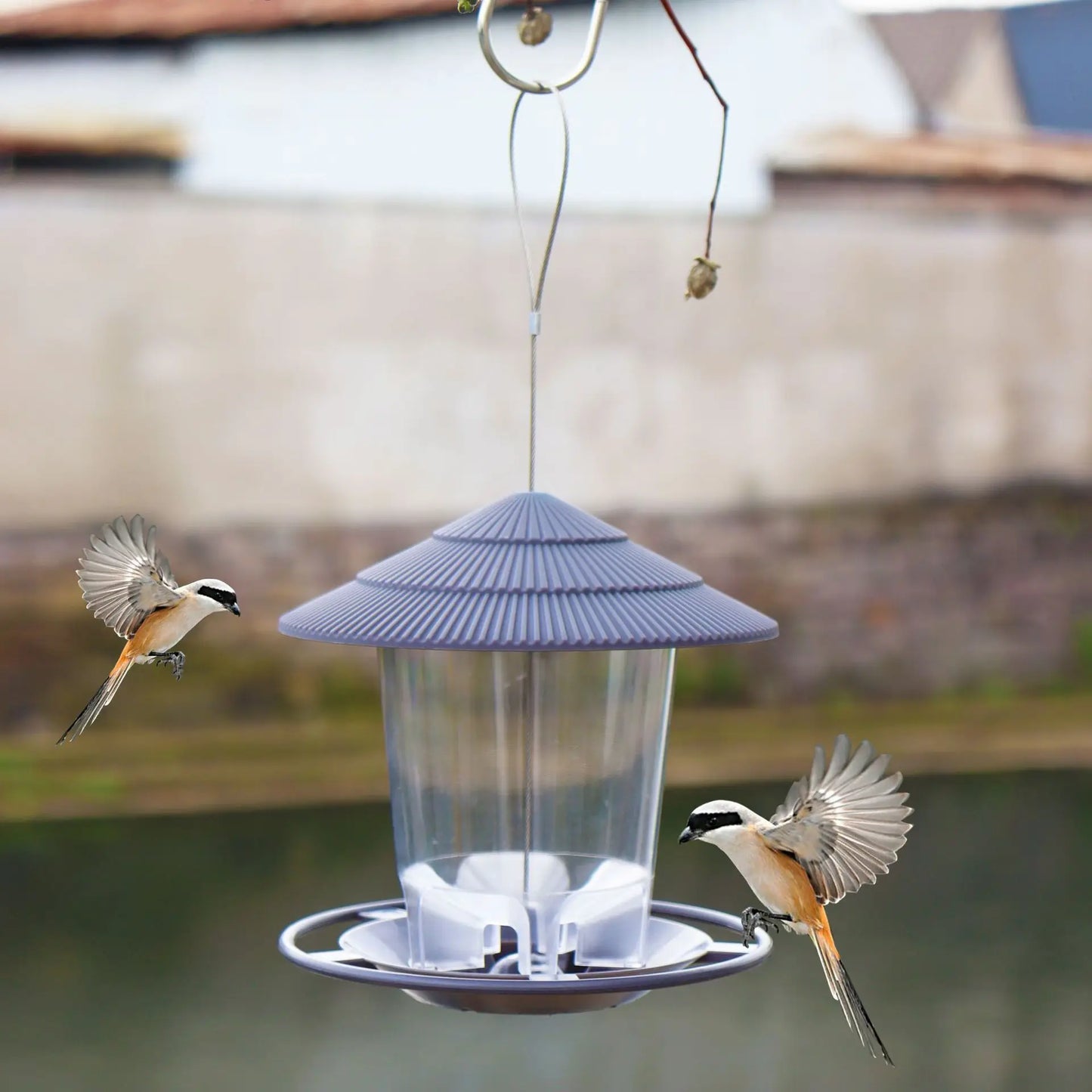 Automatic Bird Feeder