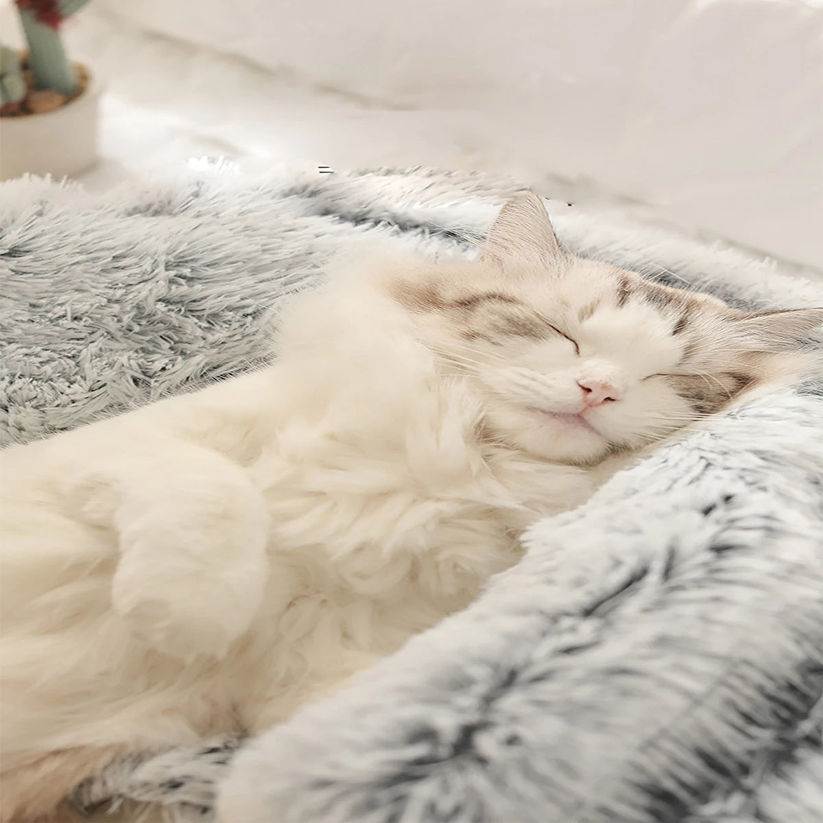 Fluffy Hooded Round Cat Bed