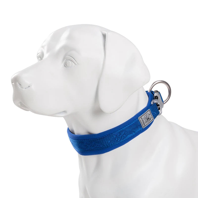 Adjustable Padded Pull-Resistant Dog Collar