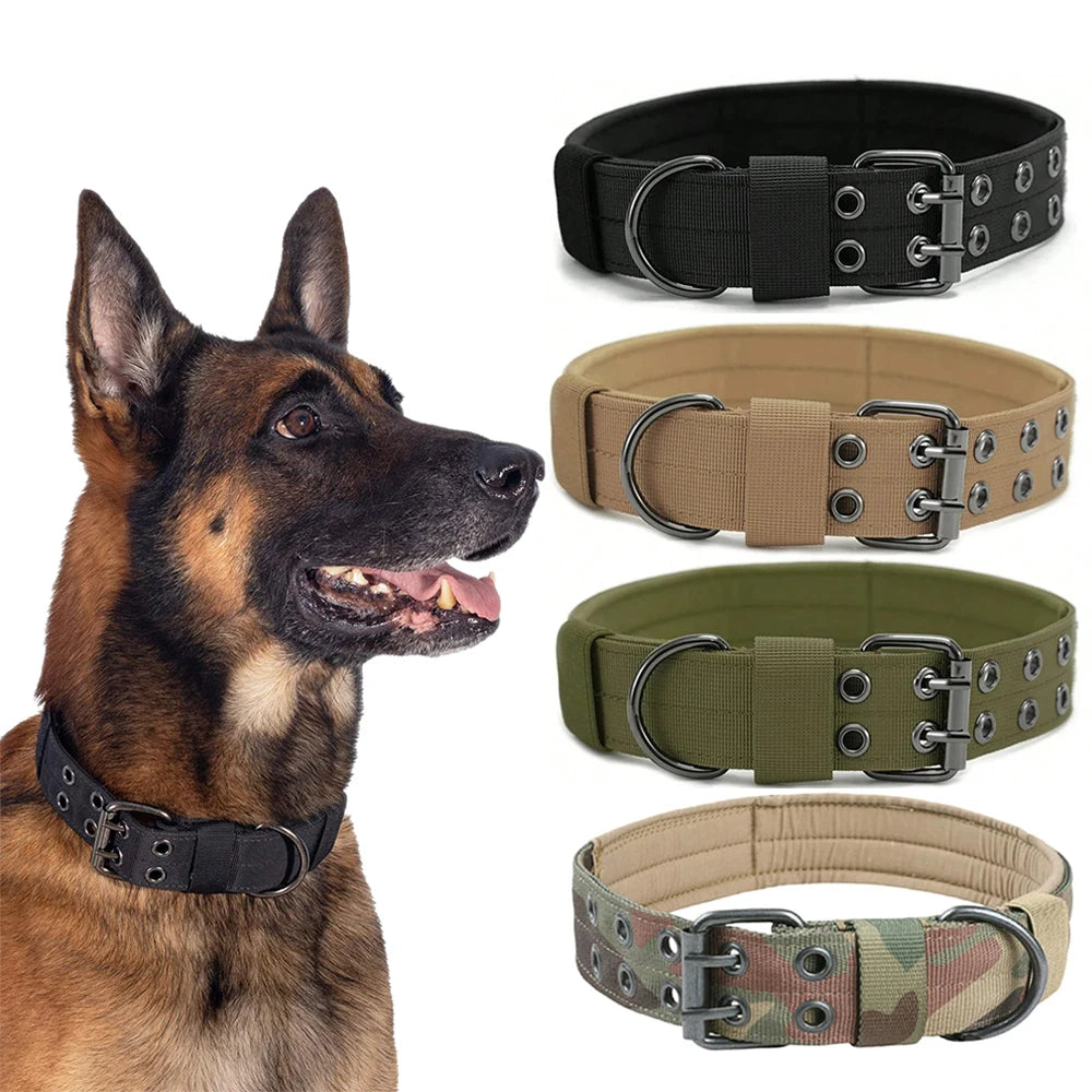 Durable Nylon Dog Collars