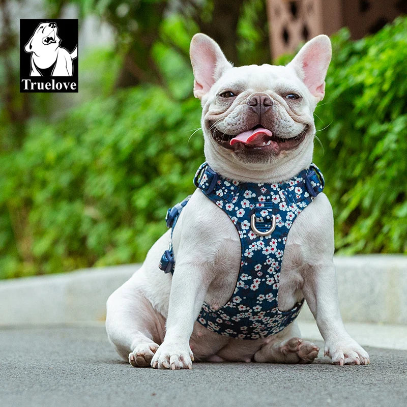 New Fashion Design Dog Harness