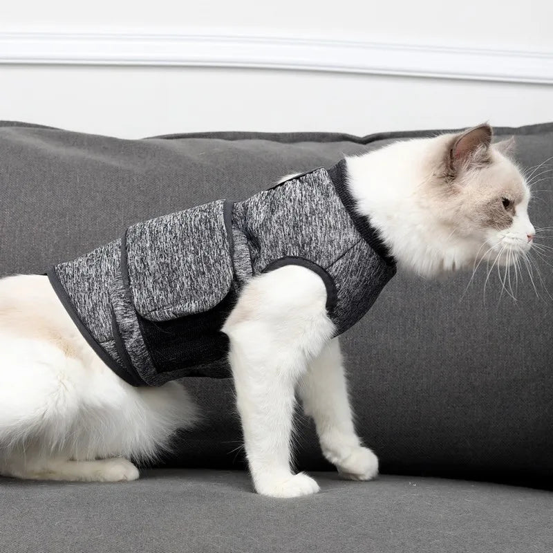 Cat Recovery & Post Operative Rehabilitation Clothing Coat