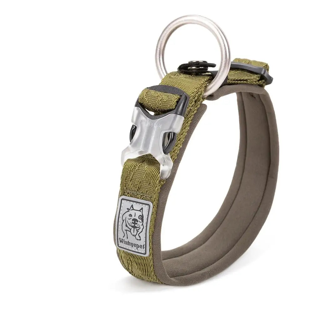 Adjustable Padded Pull-Resistant Dog Collar