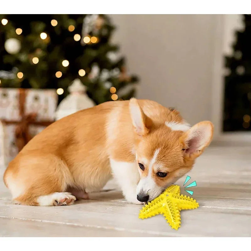 Starfish Teeth Cleaning Dog Toy