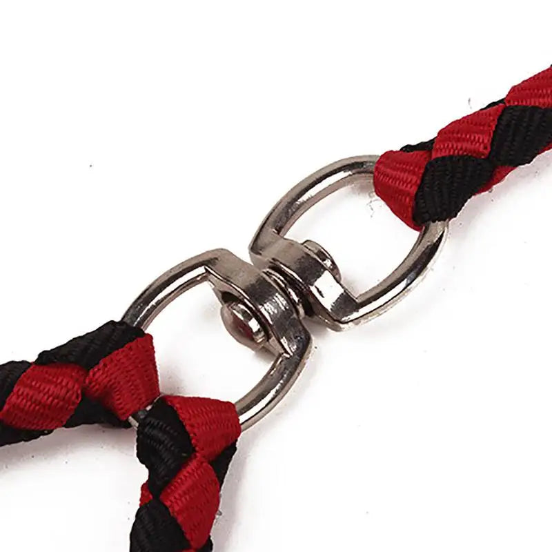 Two Way Pet Leash