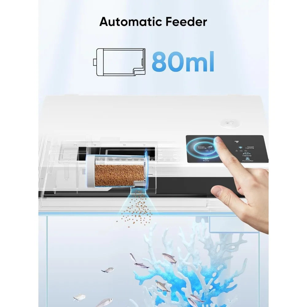 Fish Aquarium with Filter and Light