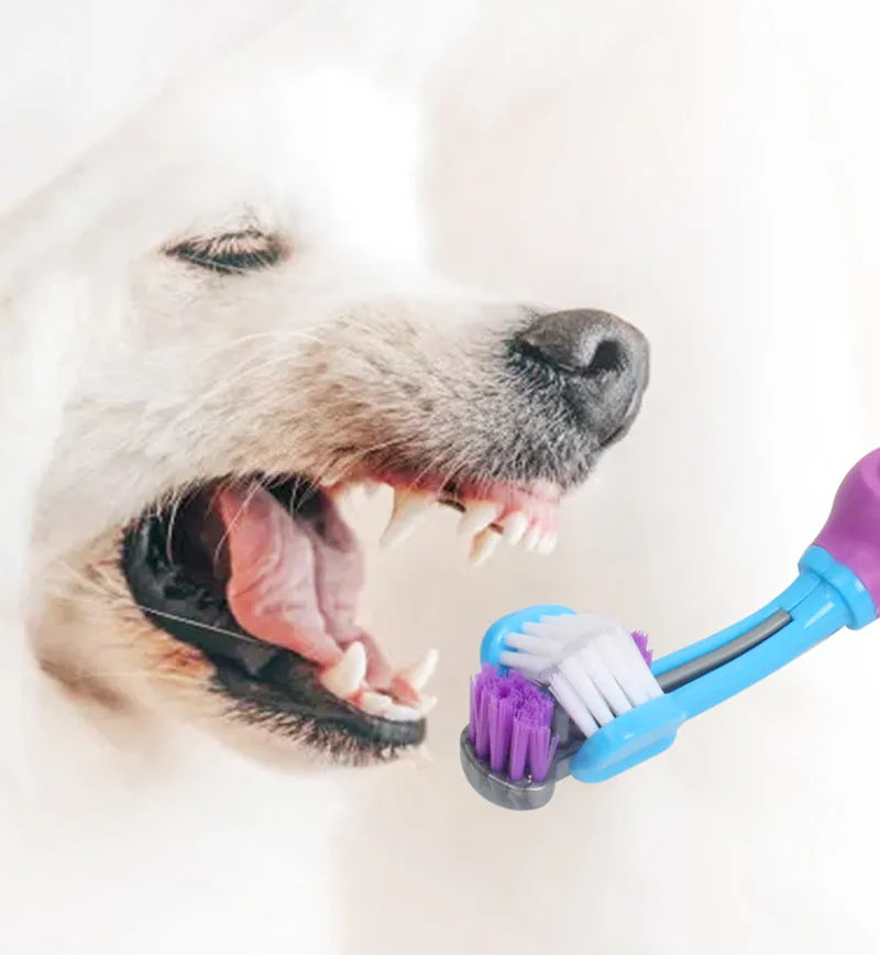 Three-Sided Pet Toothbrush