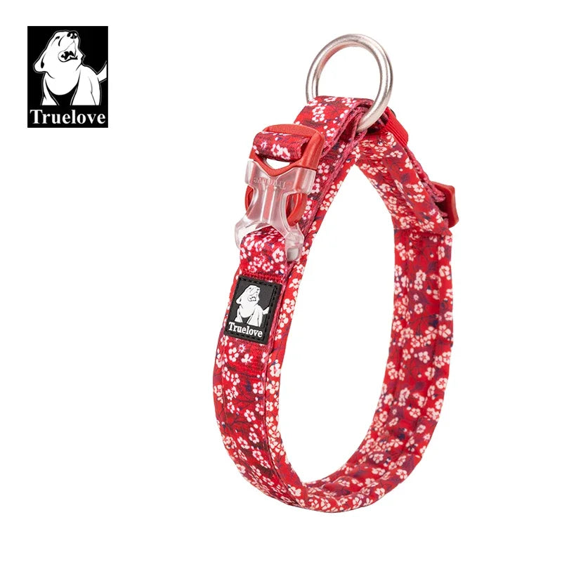 Floral Padded Pet Collar