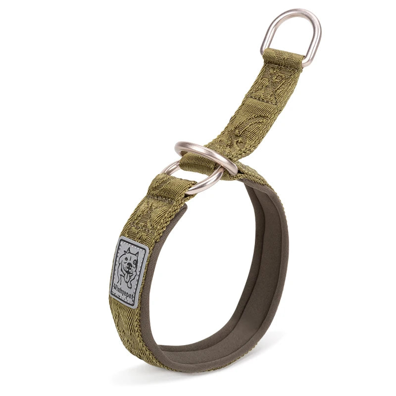 Padded Nylon Pet Training Collar