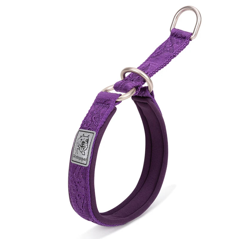 Padded Nylon Pet Training Collar