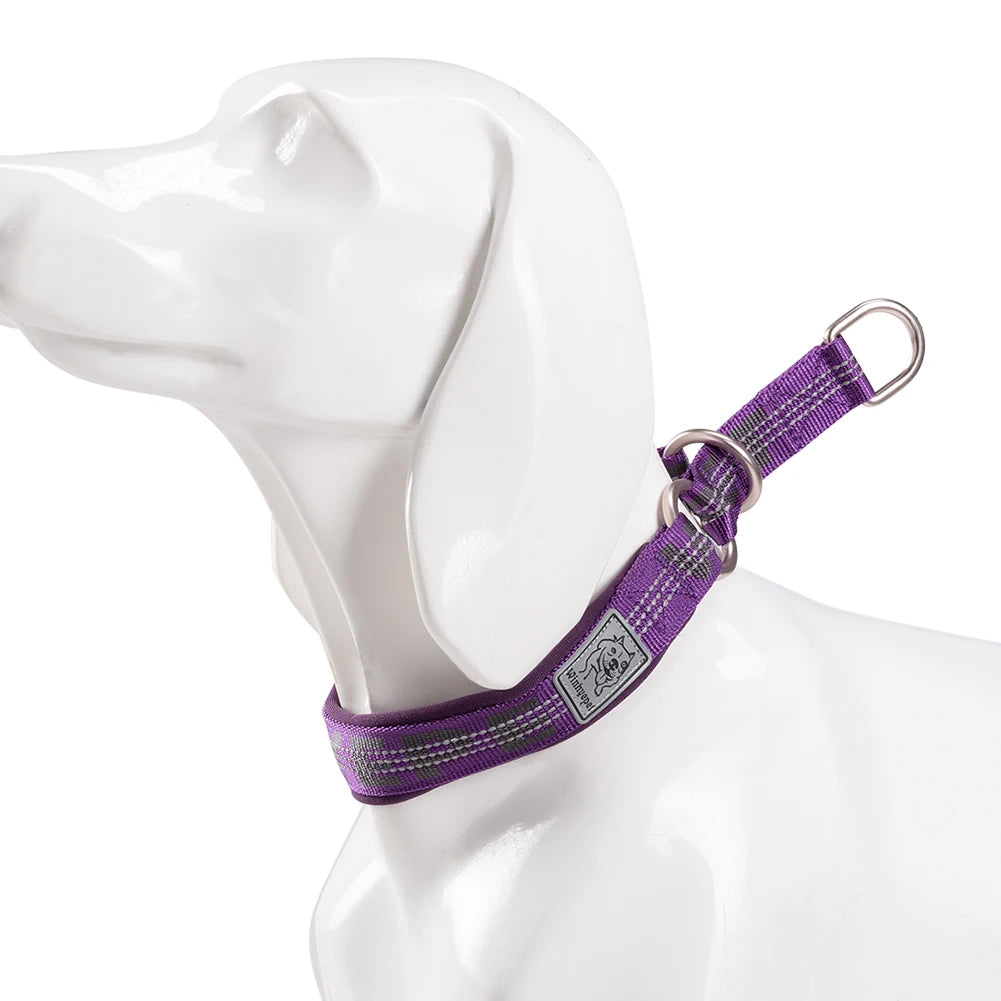 Padded Nylon Pet Training Collar