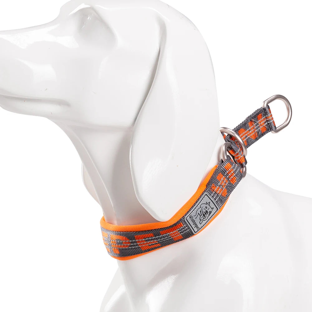 Padded Nylon Pet Training Collar