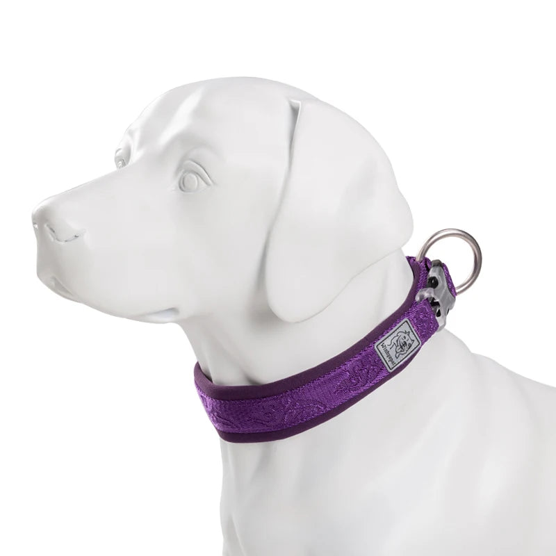 Adjustable Padded Pull-Resistant Dog Collar