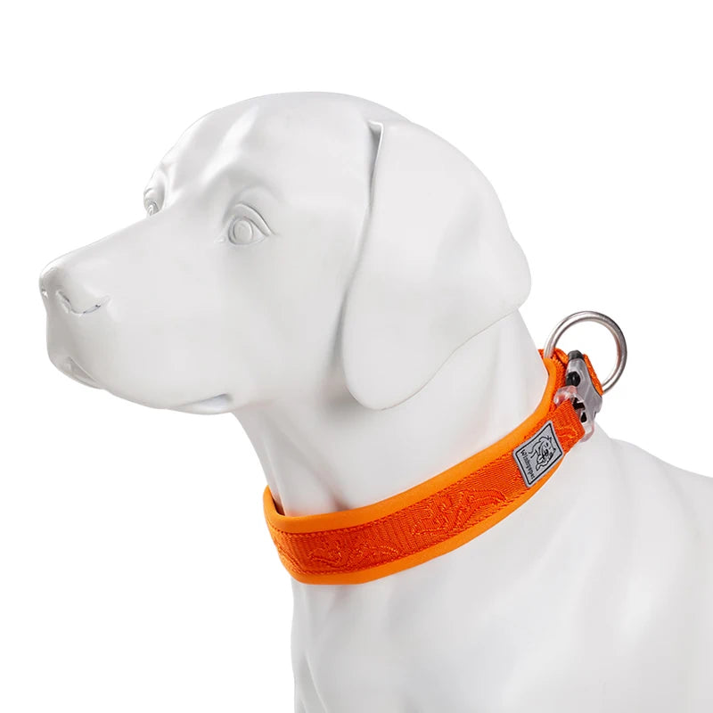 Adjustable Padded Pull-Resistant Dog Collar