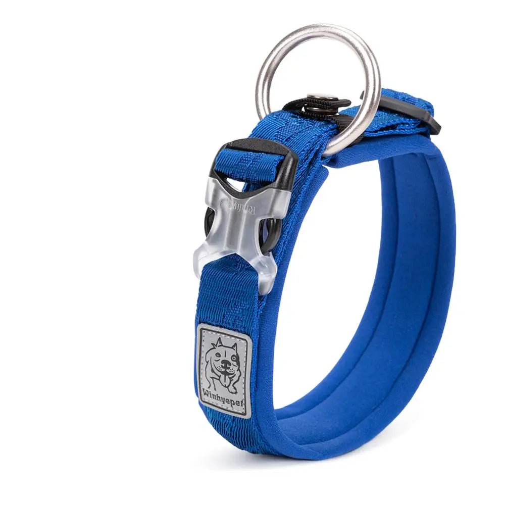 Adjustable Padded Pull-Resistant Dog Collar