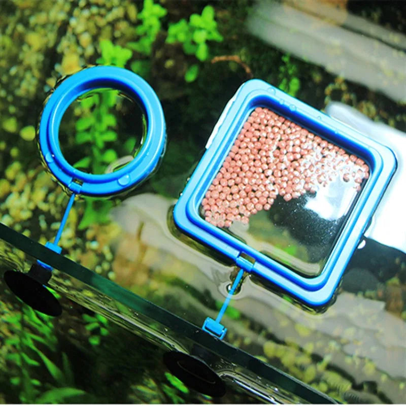 Aquarium Feeding Food Tray