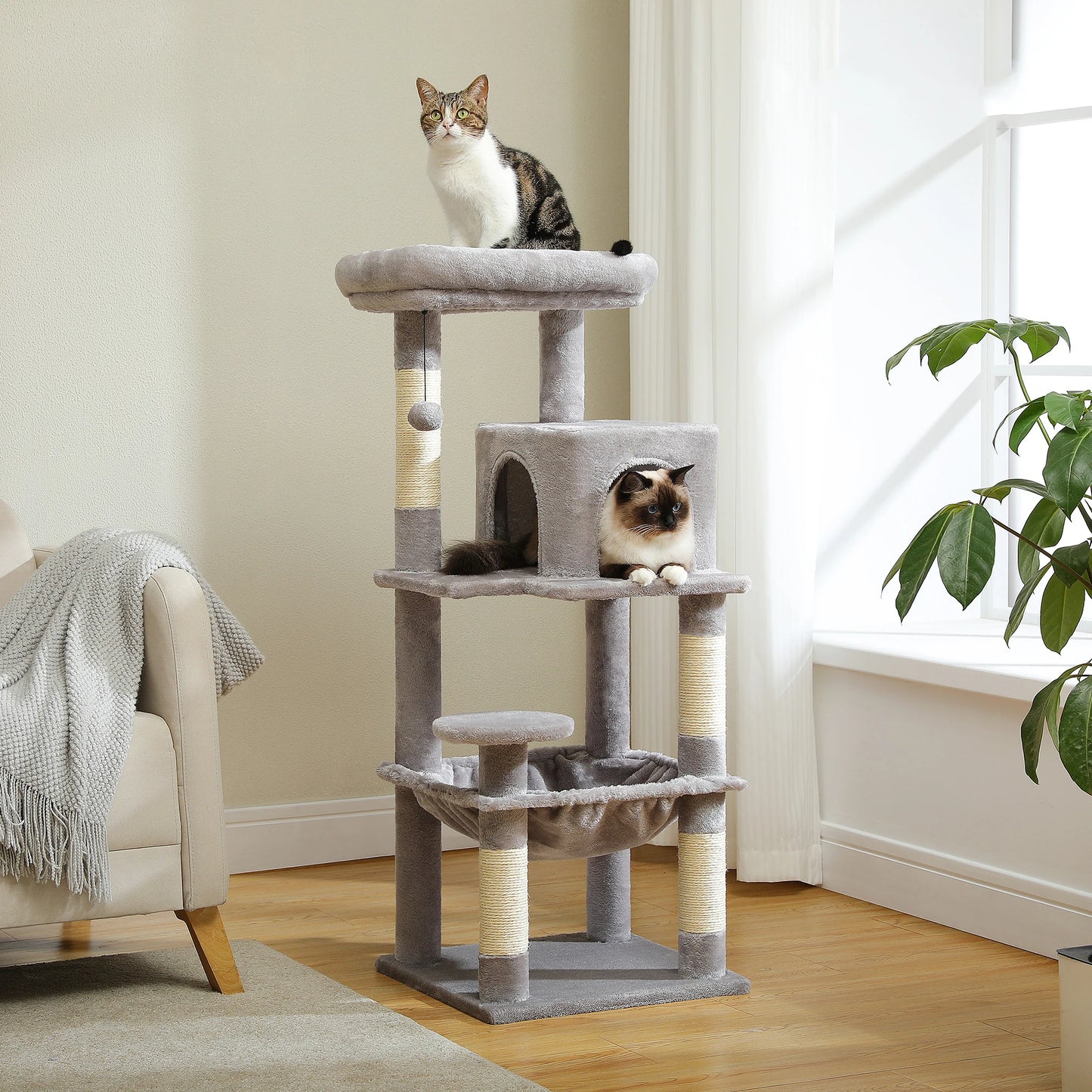 Multi-Level Cat Tree Tower with Condo