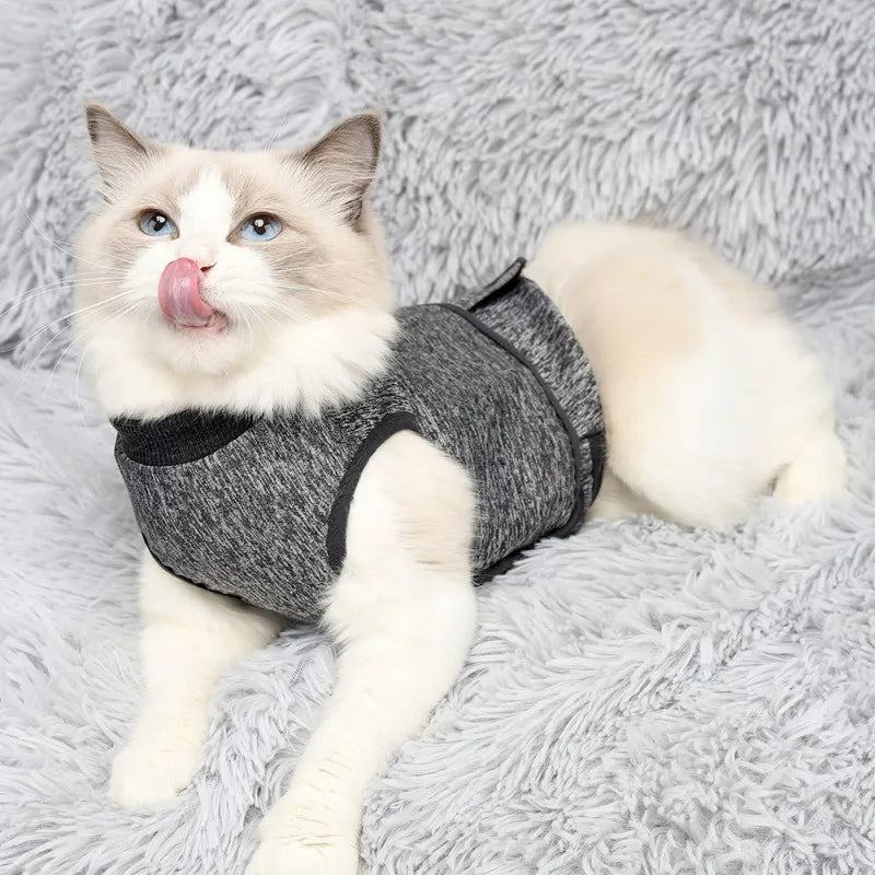 Cat Recovery & Post Operative Rehabilitation Clothing Coat