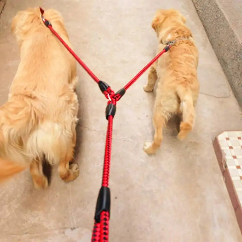 Two Way Pet Leash