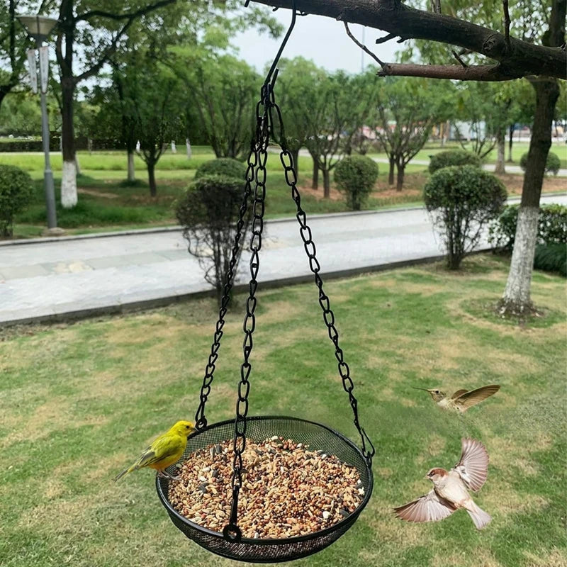 Hanging Bird Feeder