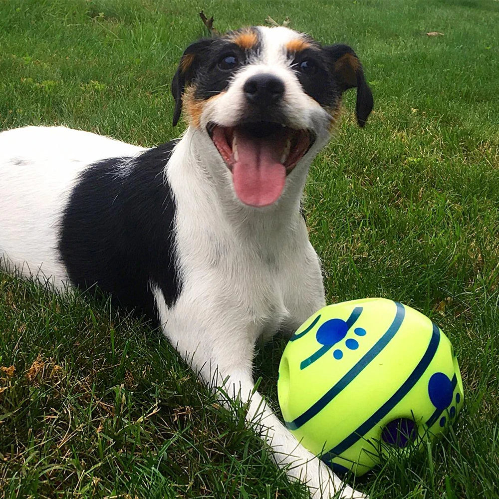 Giggle Ball Interactive Dog Toy