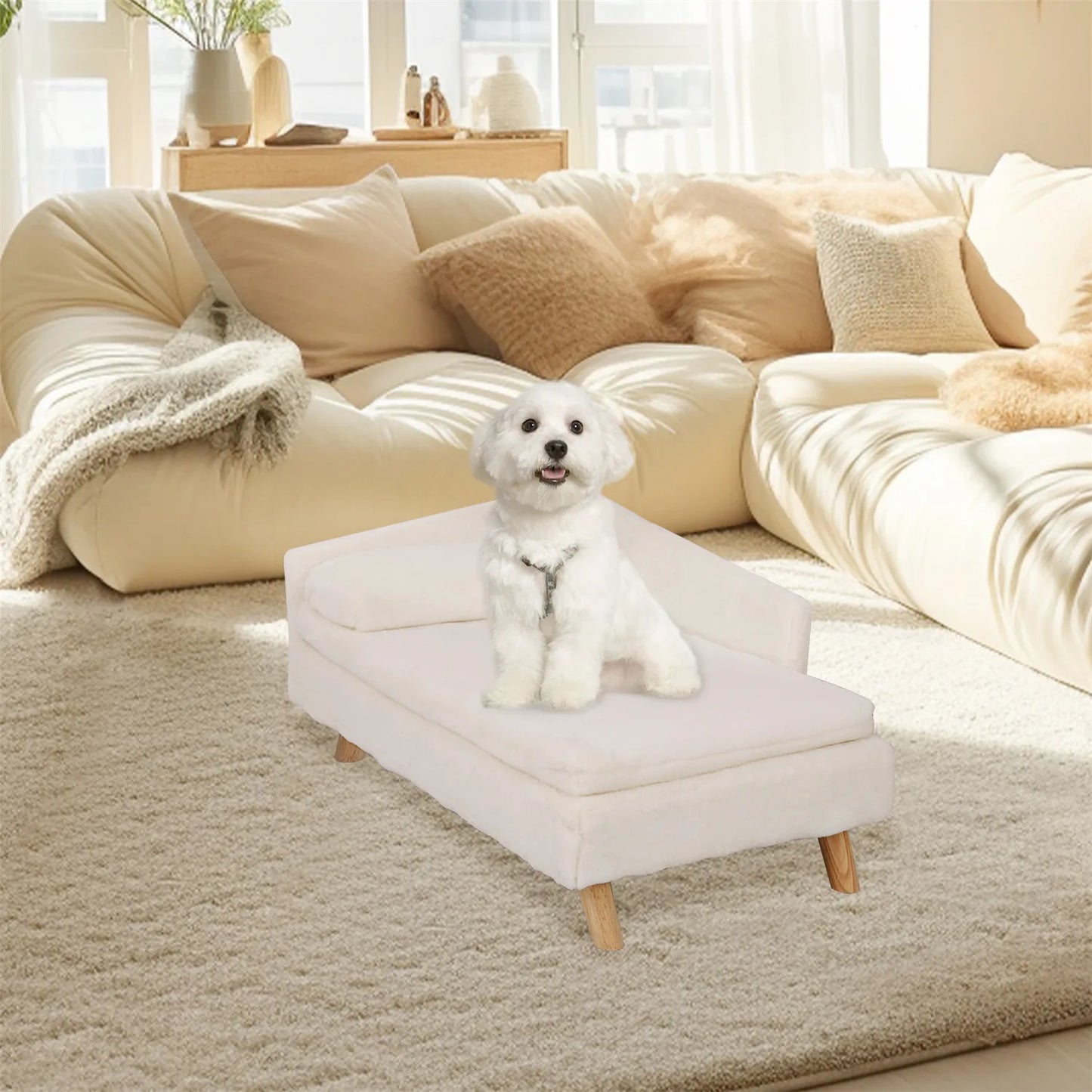 Elevated Pet Bed with Cozy Pad