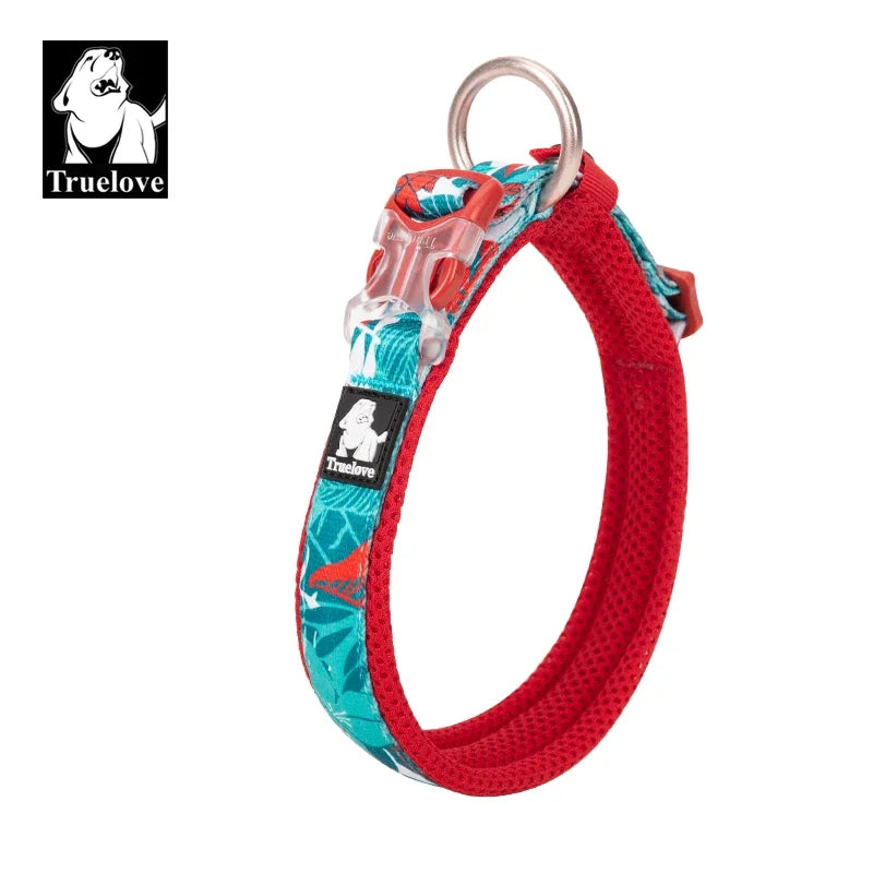 Floral Padded Pet Collar