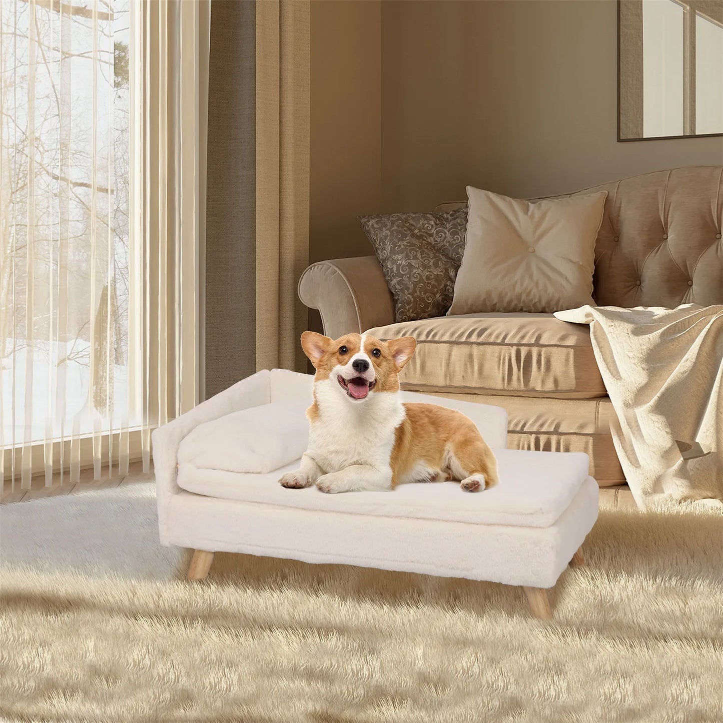 Elevated Pet Bed with Cozy Pad