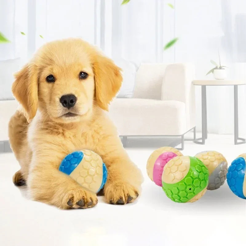 Dog Interactive Toy Ball