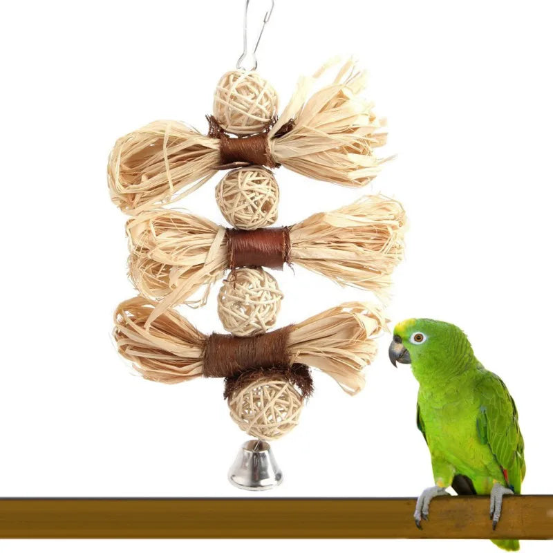 Colorful Hanging Bird Chewing Toy