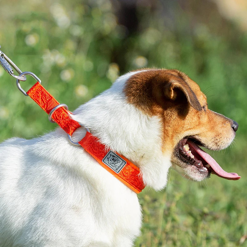 Padded Nylon Pet Training Collar